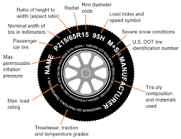 https://encrypted-tbn2.gstatic.com/images?q=tbn:ANd9GcQWNMyTbszcnduLPkIitbabI3TfDAV7bJahXIK2sHGhyG7Jb3tl