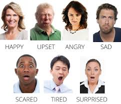 Image result for emotions