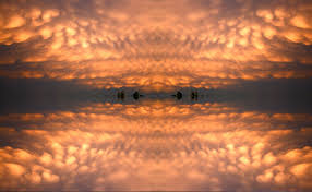 Image result for Mammatus cloud