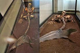 Phát hiện bộ xương nữ nửa người nửa cá, phải chăng 'nàng ...