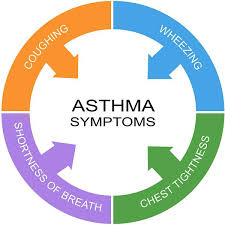 Image result for asthma