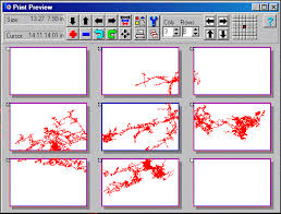 Image result for print preview screen without preview