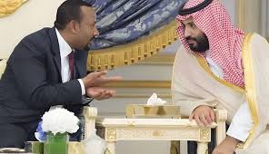 مشاجره داغ اتیوپی و عربستان درباره سودان و امارات