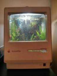 Résultat de recherche d'images pour "mac aquarium"