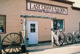 Image result for wayne alberta