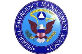 Image result for FEMA logo