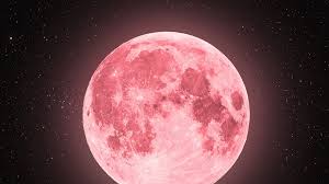 Luna Rosa 2026