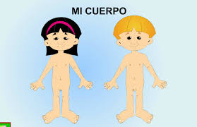 Resultado de imagen de imagenes cuerpo humano para niños