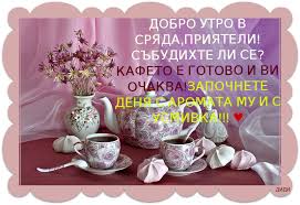 images?q=tbn:ANd9GcQXQkRKTHo5qWKl7kQ93x1Eb1GgqTCZmwrA5PBHtr2vOzLzSw6C