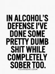 Funny Alcohol Quotes on Pinterest | Funny Drinking Quotes ... via Relatably.com