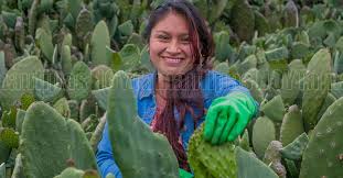 Sembrando Igualdad: El rostro del campo mexicano