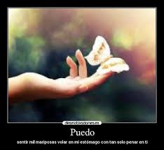 Resultado de imagen de imágenes de mariposas blancas volando