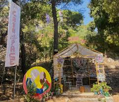 Radio Taormina - News update
