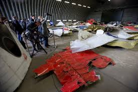 Image result for mh17 wings