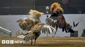 BBC - News update