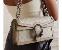 Imagen de Gucci Dionysus handbag