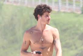 Shawn Mendes sem camisa, com fones de ouvido e celular na mão, em um dia ensolarado.