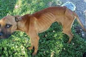 Hoy debería ser especial, pero me siento sola. 