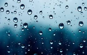 Wind Advisory Issued for Syracuse and Central New York Tonight