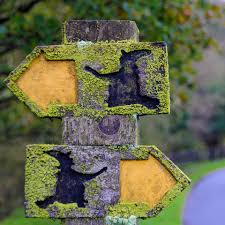 Image result for pendle witches