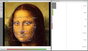 Peter Lewinski, Marieke Fransen and Ed Tan recently made the headlines with the results of their research into automated facial coding of emotions. - mona-lisa-analyzed