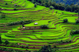 Image result for kerala
