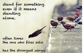 Fly Solo #birds #quotes #inspiration | Inspirations &amp; Idolations ... via Relatably.com