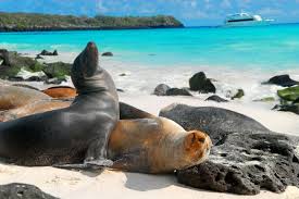 Resultado de imagen para parque nacional galapagos