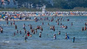 Ostsee Zeitung - News update