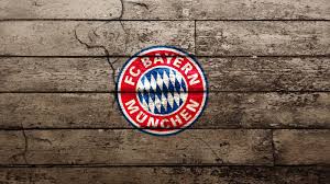 Image result for bundesliga logo 2015