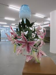 Image result for tony matelli