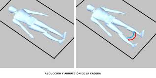 Resultado de imagen para movilizaciones de cadera