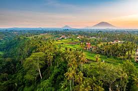 Trend Google: bali