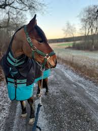 tildahast_ (@tildahast_) | TikTok