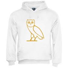 Image result for drake ovo jacket