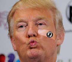 Image result for pussy riot gif make america great again