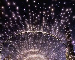 Image of Christmas lights in Canada