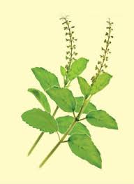 বদহজমের সমস্যা দূর করার উপায়