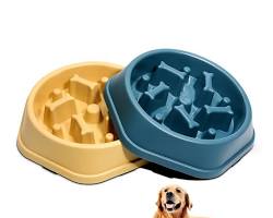 dog eating from a personalized food bowlの画像