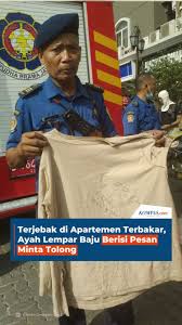 Video : ce qu'il faut savoir — image 5