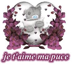 Résultat de recherche d'images pour 
