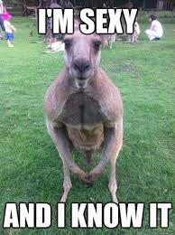 This kangaroo works out! #kangaroo #meme #funny (at Lone Pine ... via Relatably.com