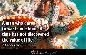 Value Of Life Quotes - BrainyQuote via Relatably.com