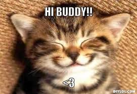 Image result for hi meme