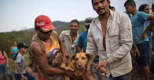 Resultado de imagem para cidade de mariana mg COM A LAMA