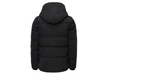 Résultat de recherche d'images pour "canada goose black label womens"