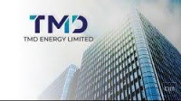 TMD Energy makes strong NYSE American debut, closes 11.7% above IPO price