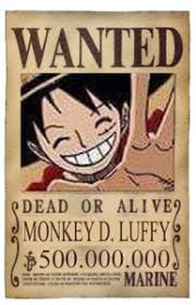 Hasil gambar untuk anggota monkey d luffy