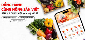 Sắp ra mắt sàn bán buôn xuyên biên giới 2 chiều đầu tiên tại Việt Nam