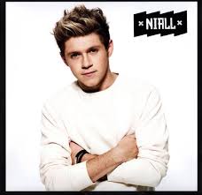 Image result for one direction 2015